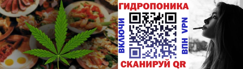 Cannafood марихуана  Хасавюрт 
