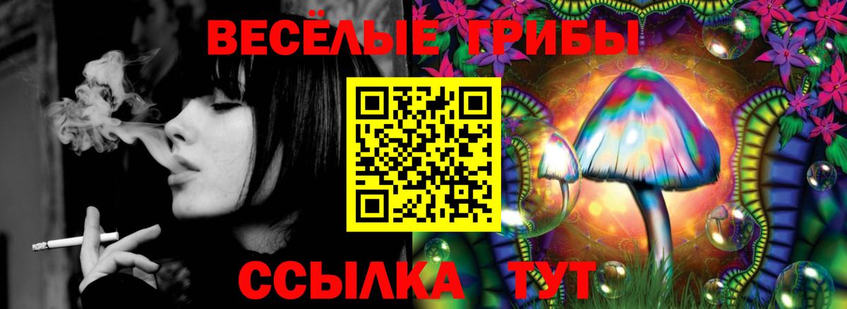 Хасавюрт  Галлюциногенные грибы Psilocybe  Вход с VPN 