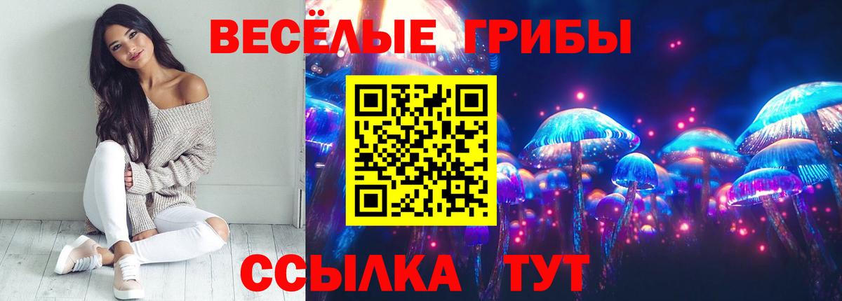 Псилоцибиновые грибы мицелий Хасавюрт