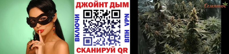 Бошки марихуана марихуана  Хасавюрт 
